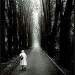 Podzim v aleji věčnosti