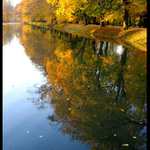 Brouzdání zlatým podzimem