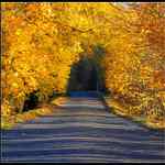 Brouzdání zlatým podzimem-aneb Zlatá brána otevřena..