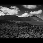 Kudy, kudy cestička