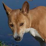 SMÁT SE NA TĚ NEBUDU