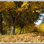 ...pod sukničkou.....