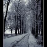 Cestou, která nekončí