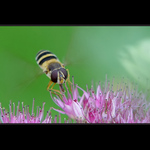 bacha přistáváááám aneb..