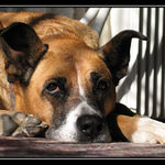 Ty snad chceš jít ještě ven?