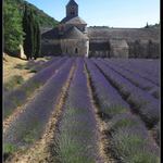 Abbaye de Senanque