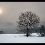 Louka pod Ještědem