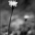 ... pro pocit jistoty ...