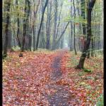 Brněnské střípky II.[br]-Nad údolím Svitavy