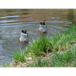 ......vy mě taky.........