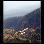 Z ptačí perspektivy