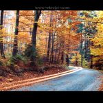 Pomíjivost času ...