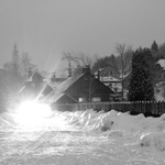 SilvestR