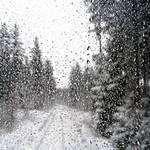 Dopředu či dozadu?