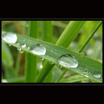 * V řadě za sebou *