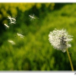 Letmá vzpomínka na léto