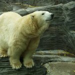 čichám, čichám nějakou baštu....