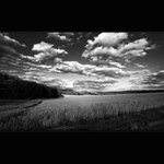 Tenkrát v létě...