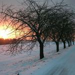 Včerejší odpoledne