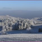 Mráz už začal malovat