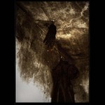 \"Night´s dream\"