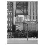 Chicago 7