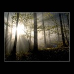 <b>...:::another world II.:::...</b>