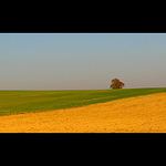 Solitér