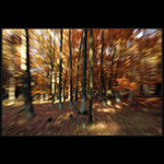 Magický podzim - NO SW!!!