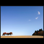 Krajinný minimalismus