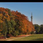 petřín zahalený v barvě