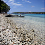 Cruise: Vanuatu, Wala