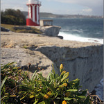 The Hornby Lighthouse at South Head