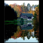 <b>...REFLEXE...</b> <hr> <b>