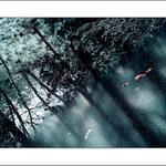 Pohled do jiného světa