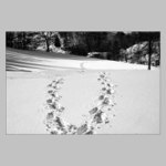 My kráčame, ale čas beží II.