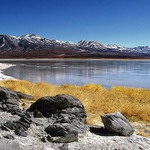 Laguna Blanca