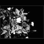 ...jen tak z nudy...