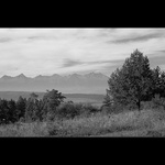 ne všichni mužem vychutnávat svět v barvách...