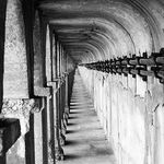 (••••••••)