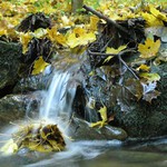 Gránický potůček