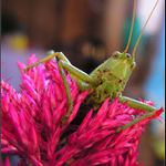 Koukni mi do očí :o)))