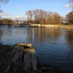 Svratka