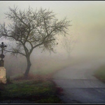 Cesta do vinohradů -2