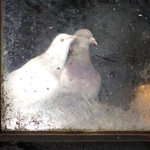 ,,Nějak to spolu zvládneme!