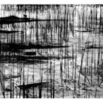  KRAJNÍ MINIMUM BW 1.