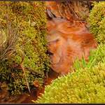 Travertínová minikrajinka