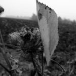 Neboj, držíme tě pevně...na nás je spoleh