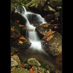 Na Černém potoce III