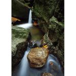 Podzimní proudění III